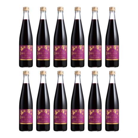 葡萄のめぐみ《果汁100％・保存料無添加》（500ml）12本セット【定期便】
