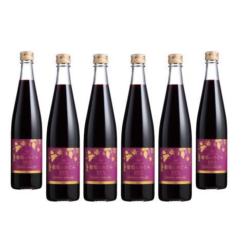 葡萄のめぐみ《果汁100％・保存料無添加》（500ml）6本セット