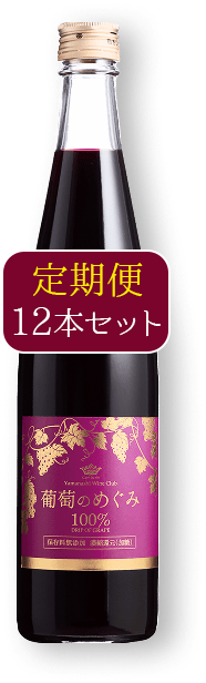 葡萄のめぐみ