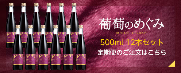 葡萄のめぐみ500ml 定期購入
